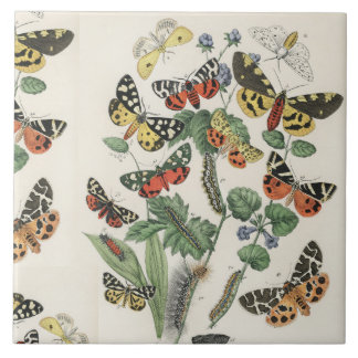 ceramic 6 inch tile with butterflies
