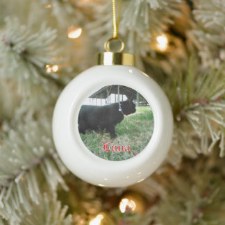 Ceramic Ball Custom Cat Ornament
