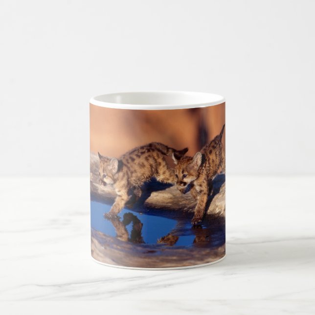 Ceramic Coffee Mug-Cougar Cubs Mug (Center)