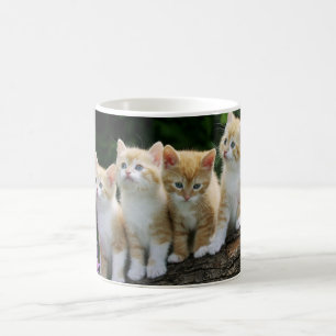 Ceramic Coffee Mug-Kittens Mug