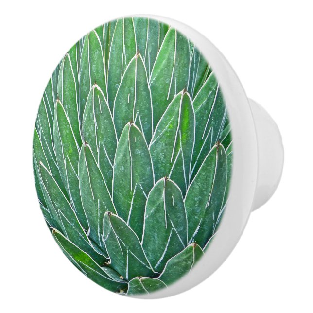 CERAMIC KNOB/AGAVE PLANT CERAMIC KNOB (Right)