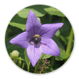 CERAMIC KNOB/BALLOON FLOWER WITH BEE/PURPLE COLOR KNOB