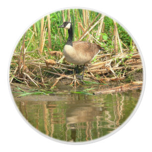 CERAMIC KNOB/CANADA GOOSE AT WATER'S EDGE KNOB