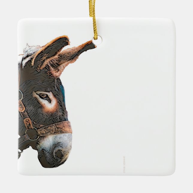 Ceramic Ornament - Donkey (Front)