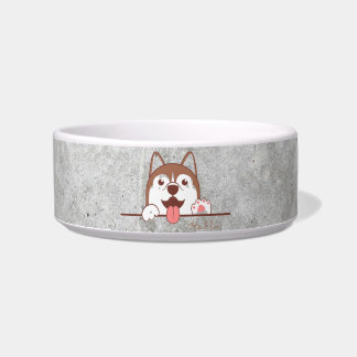Ceramic pet bowl
