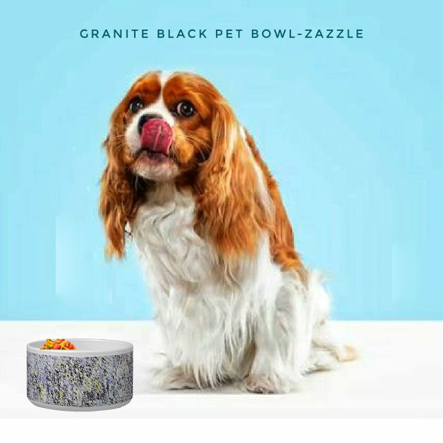 Ceramic Pet Bowl (Creator Uploaded)