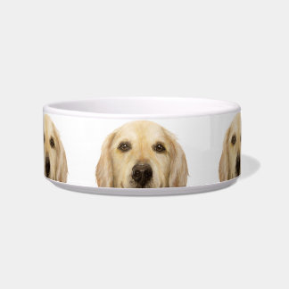 Ceramic Pet Bowl/ golden retriever Bowl