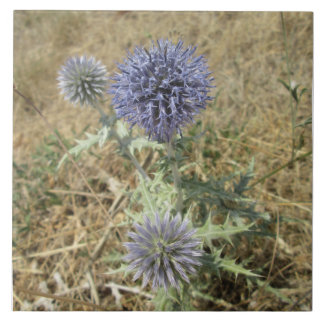Ceramic square thistle blue flower ceramic tile