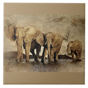 Ceramic Tile