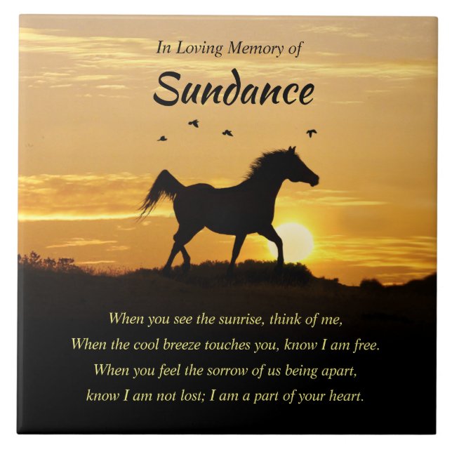 Ceramic Tile (Front)