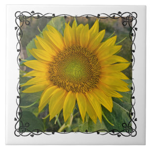 Ceramic Tile