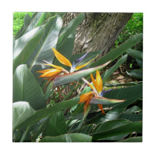 Ceramic Tile-Bird of Paradise Tile