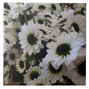 Ceramic Tile - Black & White Daisy