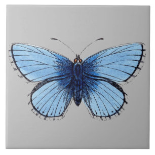 Ceramic Tile - Blue Butterfly Light Grey