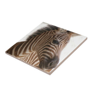 Ceramic Tile Brown Zebra Stripe