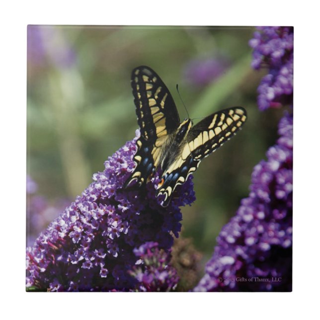 Ceramic Tile - Butterfly on Purple Flowers (Front)