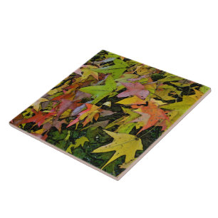 CERAMIC TILE /COLORFUL, ALMOST STAR-SHAPED LEAVES