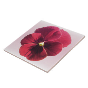 Ceramic Tile - Dark Red Pansy