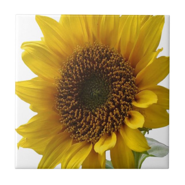 Ceramic Tile Floral Sunflower (Front)