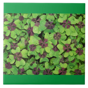 Ceramic tile Four Leaf Clover