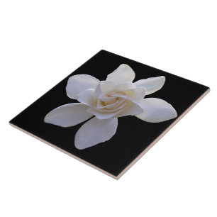 Ceramic Tile - Gardenia on Black