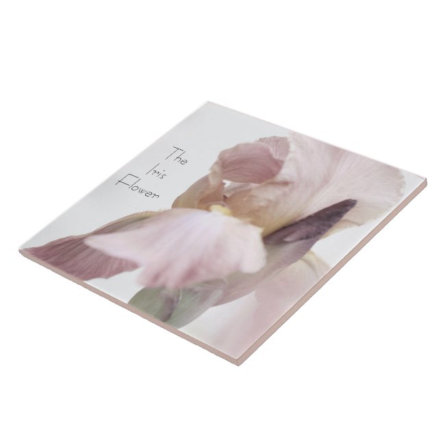 Ceramic Tile Iris Flower Pink/Purple (Side)
