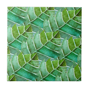 Ceramic Tile Jungle Fever