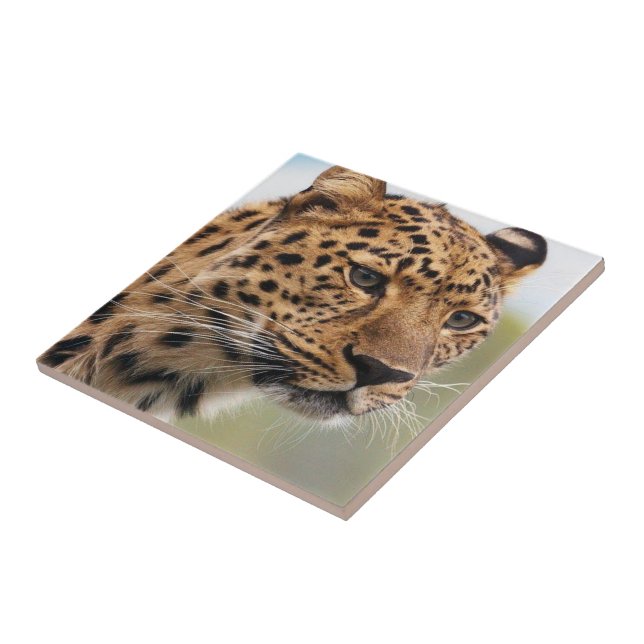 Ceramic Tile Leopard (Side)