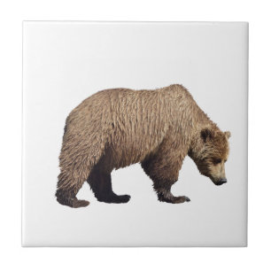 Ceramic Tile of grizzly bear