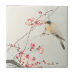 CERAMIC TILE : OHARA KOSON : SONGBIRD<br><div class="desc">OHARA KOSON : SONGBIRD ON BLOSSOM : JAPANESE WOODBLOCK</div>