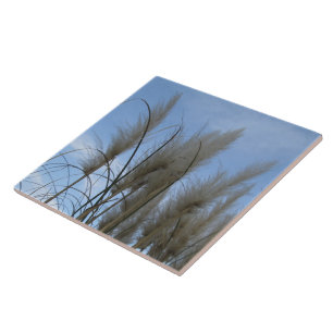 Ceramic Tile - Pampas Grass