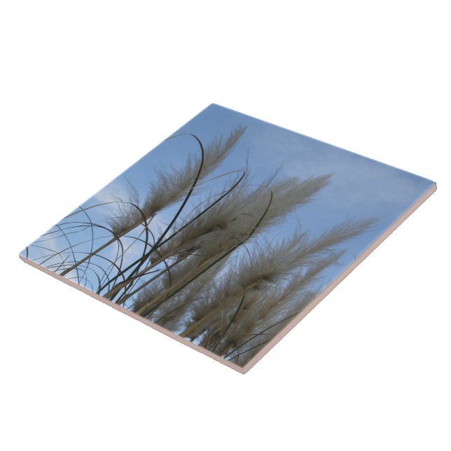 Ceramic Tile - Pampas Grass (Side)