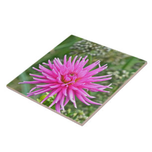 CERAMIC TILE /PINK DAHLIA
