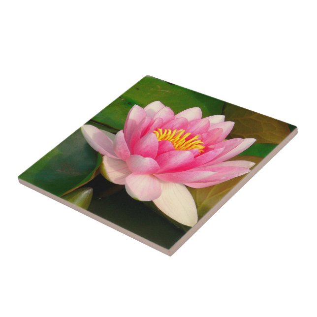 CERAMIC TILE / PINK LOTUS BLOSSOM (Side)