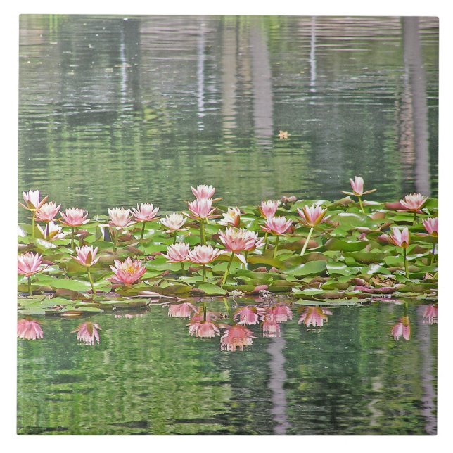 CERAMIC TILE/ PINK LOTUS BLOSSOMS/POND REFLECTIONS CERAMIC TILE (Front)