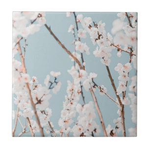 CERAMIC TILE : PLUM BLOSSOM