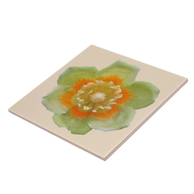 Ceramic Tile - Tulip Poplar Tulip on Cream (Side)
