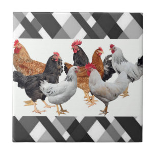 Ceramic Tile White Black Plaid Chickens