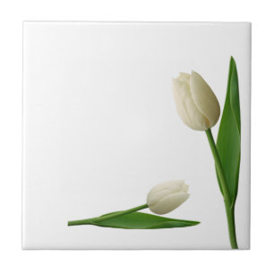 Ceramic Tile White Tulips Floral