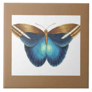 ceramic tile with butterfly