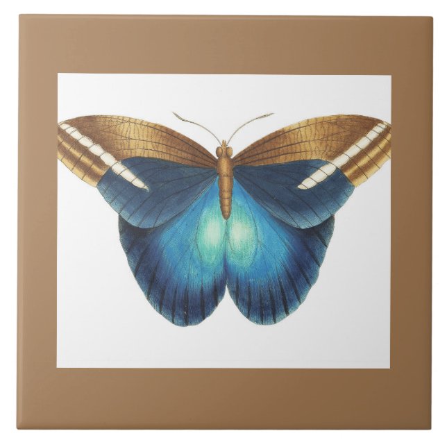 ceramic tile with butterfly (Front)