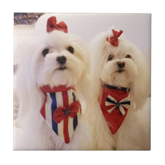 Ceramic Tile with Maltese