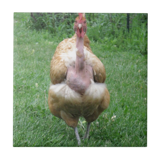 Ceramic tile with Turken Hen (Front)