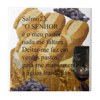 Ceramics tile | Salmo 23