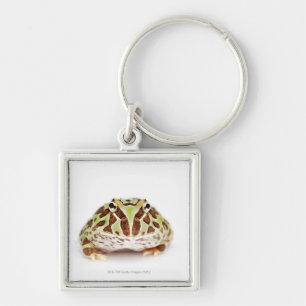 Ceratophrys Cranwelli, Cranwell's Horned Frog, Key Ring