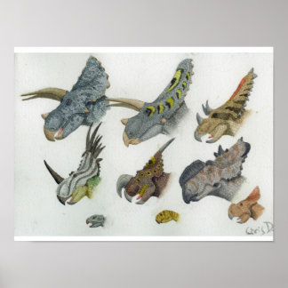 Ceratopsian Heads Print
