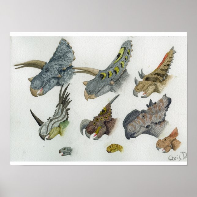 Ceratopsian Heads Print (Front)