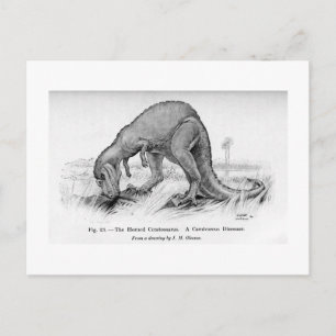 Ceratosaurus art postcard