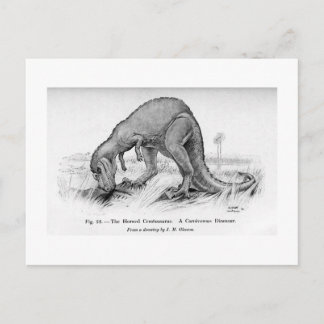 Ceratosaurus art postcard