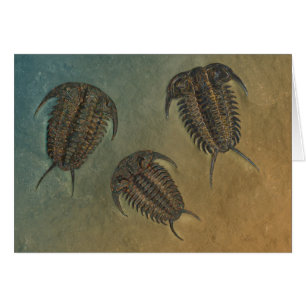 Ceraurus and Leviceraurus